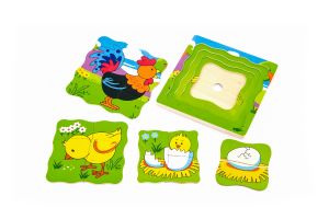 Puzzle in straturi Evolutie cocos, Viga