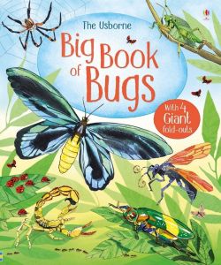 Big Book of Bugs, Usborne
