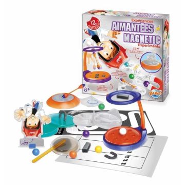 Experimente magnetice