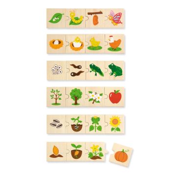 Puzzle sortator - Evolutie, Viga 