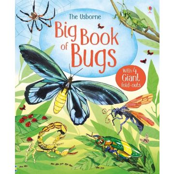 Big Book of Bugs, Usborne