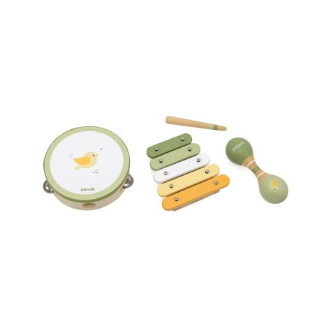 Set de jucarii muzicale Pasari, PolarB Viga